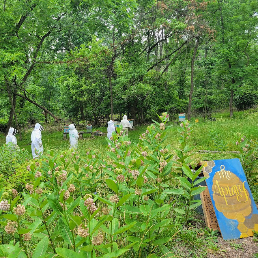 People in bee suits among greenery and flowers with a 'The Apiary' sign.