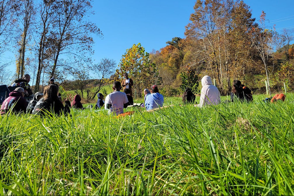 People sitting on grass in a field with trees and blue sky