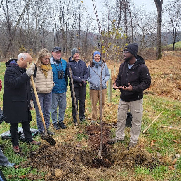 Group of people gathered around a newly planted tree in a field with trees in the background.