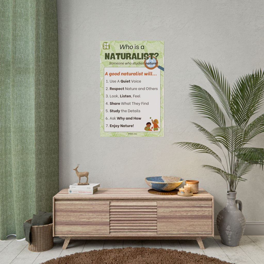 "A Naturalist Will" Educational Nature Rules Anchor Chart (24×36)