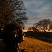 Person taking a photo of a scenic landscape with trees and sunset.