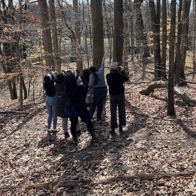 Group of people standing in a forest with bare trees and fallen leaves on the ground.