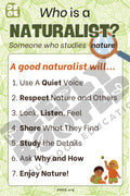 "A Naturalist Will" Educational Nature Rules Anchor Chart (24×36)